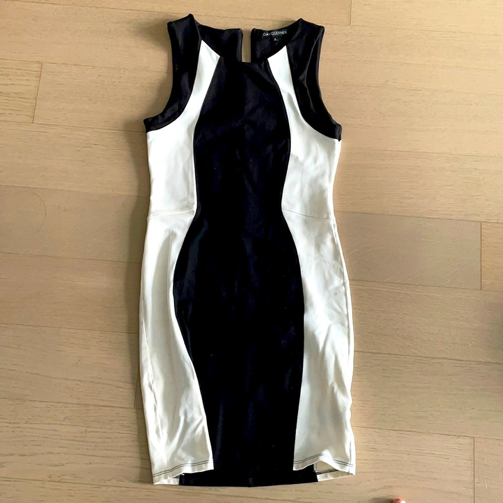 DAVID LERNER Dress